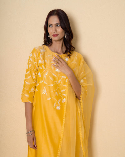 Amber Flora Embroidered Chanderi Suit Set