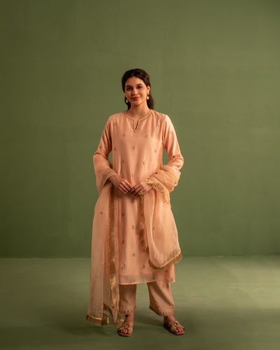 Light Salmon Marori Work Chanderi Suit set