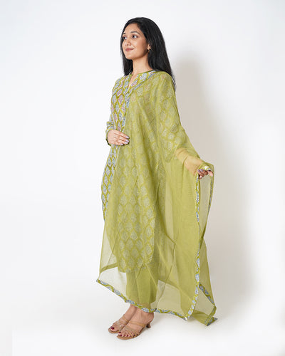 Olive Botanical Printed Chanderi Suit Set