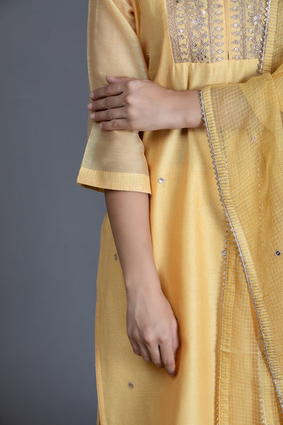 Summer Daffodil Marori Work Chanderi Suit Set